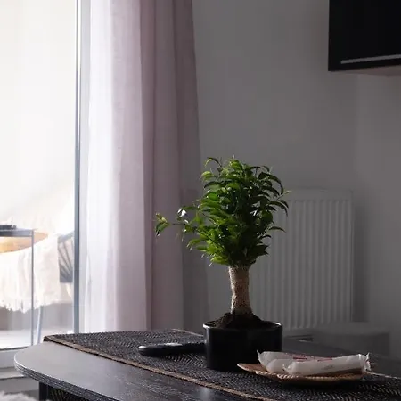 Lovely With Parking And Balcony Apartment *