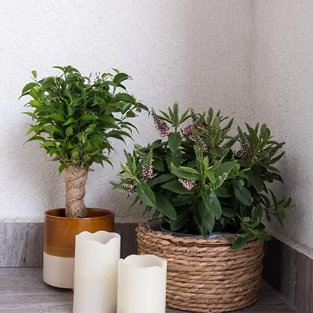 Apartment Lovely With Parking And Balcony Cluj-Napoca